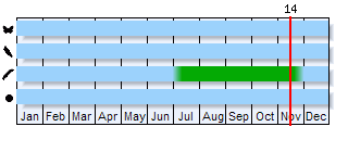 Phenogram based on the literature