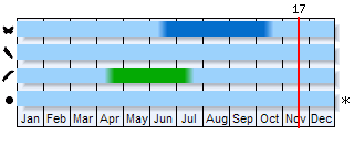 Phenogram based on the literature