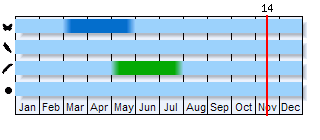 Phenogram based on the literature