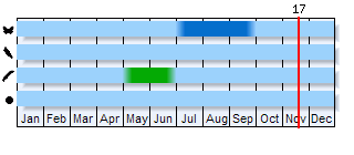 Phenogram based on the literature