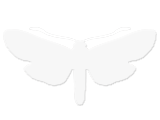 MU